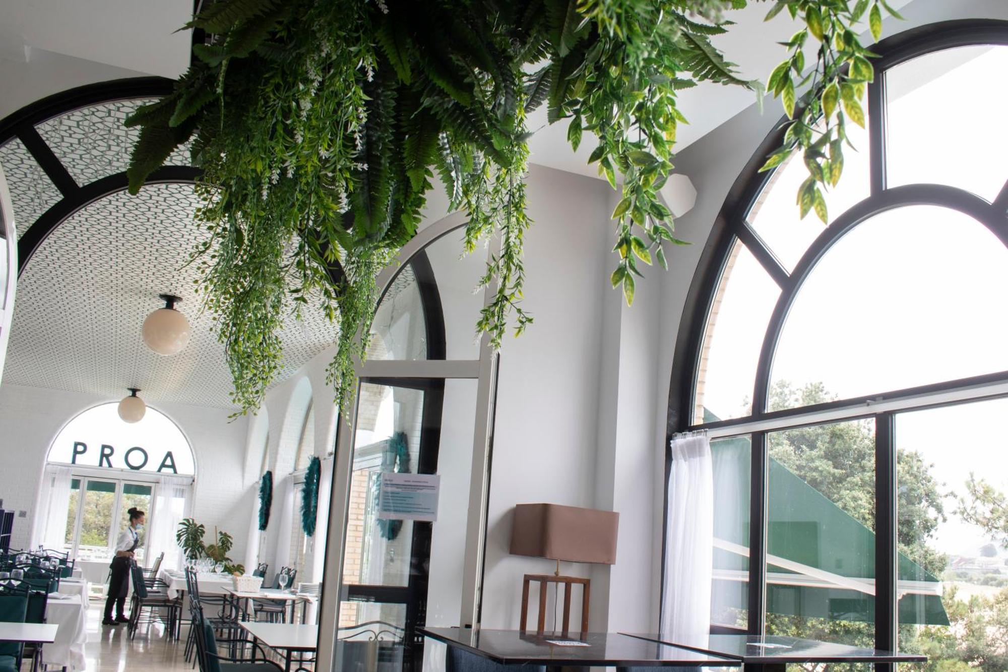 Hotel Olimpo Isla Plana
